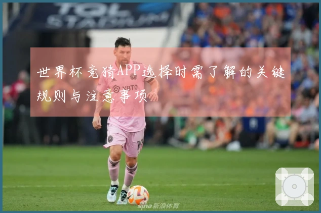 世界杯竞猜APP选择时需了解的关键规则与注意事项