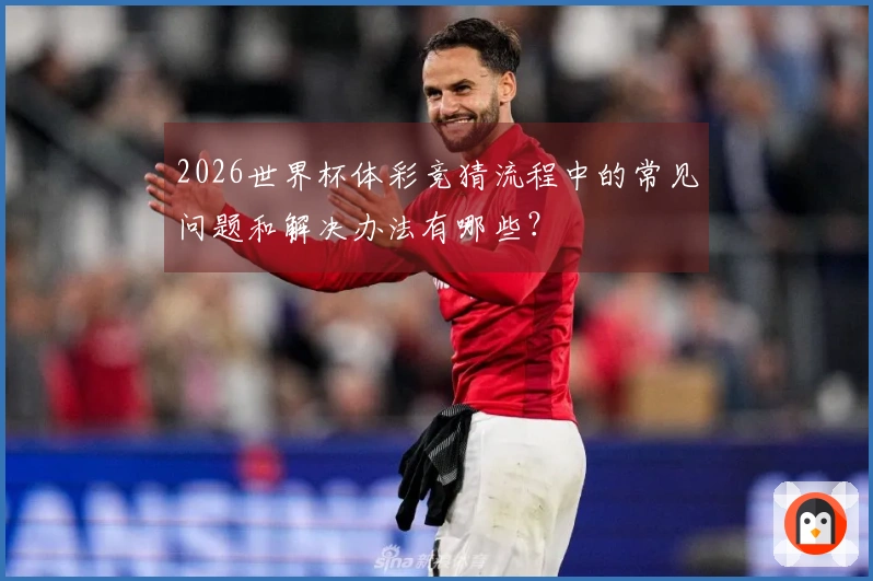 2026世界杯体彩竞猜流程中的常见问题和解决办法有哪些？