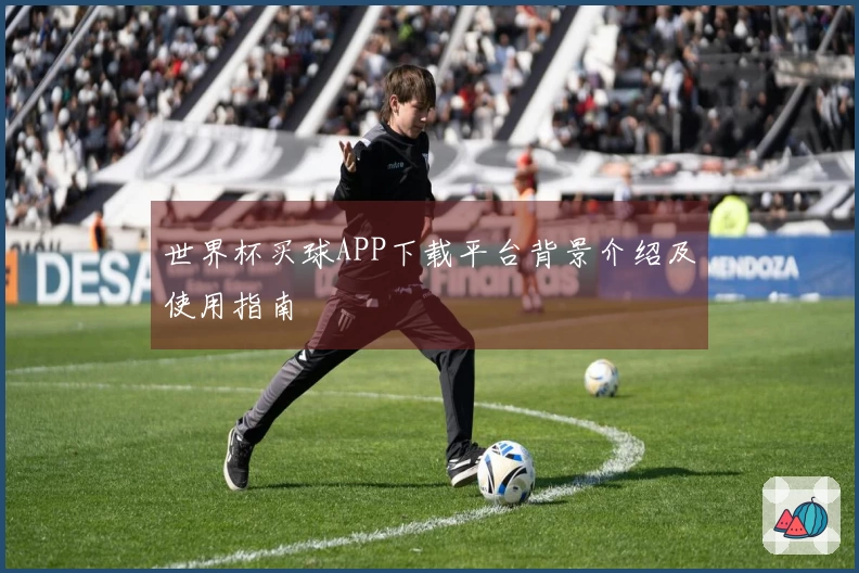 世界杯买球APP下载平台背景介绍及使用指南