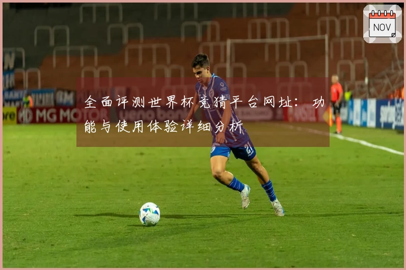 全面评测世界杯竞猜平台网址：功能与使用体验详细分析
