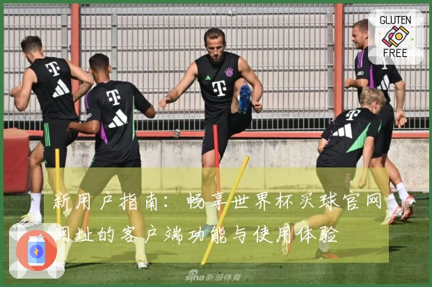 新用户指南:畅享世界杯买球官网网址的客户端功能与使用体验