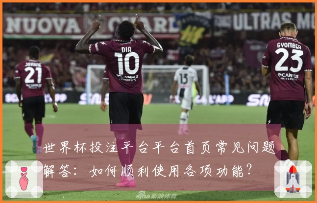 世界杯投注平台平台首页常见问题解答：如何顺利使用各项功能？