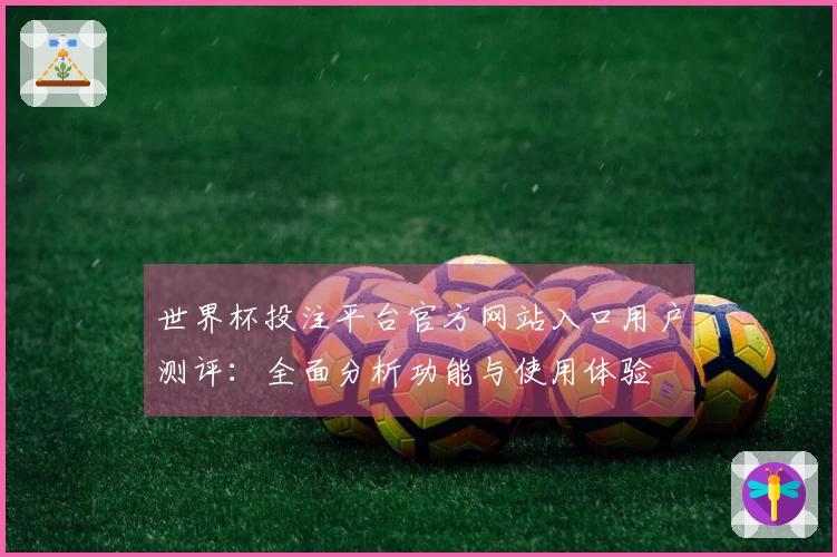 世界杯投注平台官方网站入口用户测评：全面分析功能与使用体验