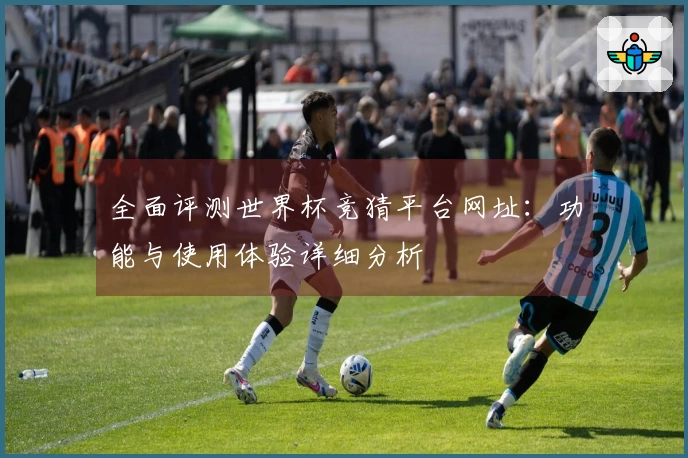 全面评测世界杯竞猜平台网址：功能与使用体验详细分析