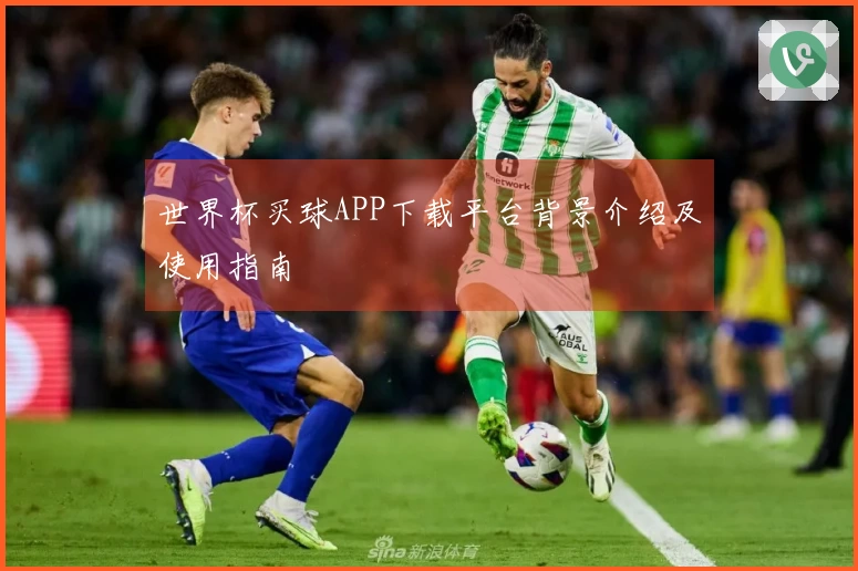 世界杯买球APP下载平台背景介绍及使用指南