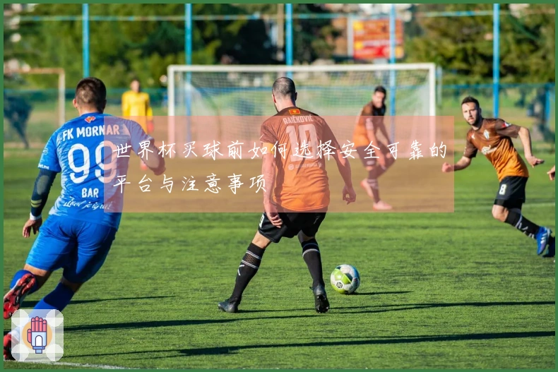 世界杯买球前如何选择安全可靠的平台与注意事项